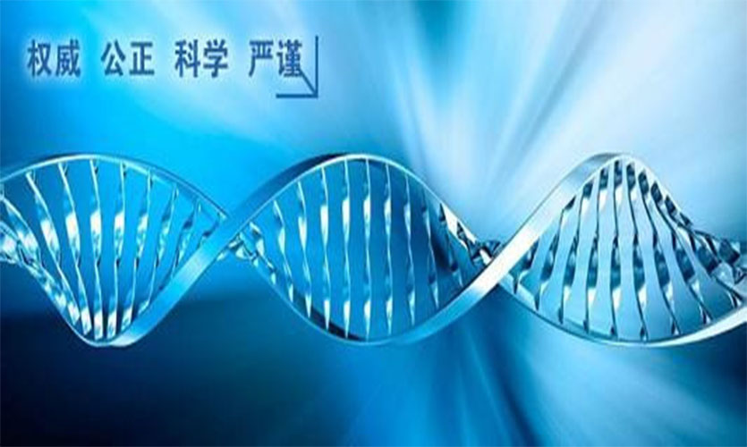 亲子鉴定在哪里做