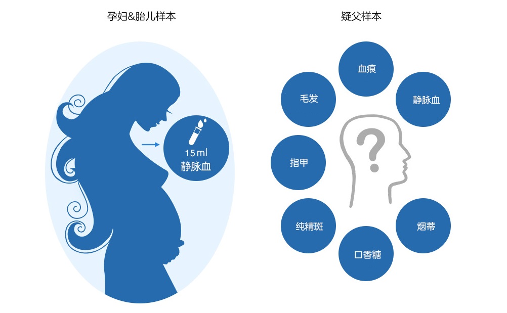 胎儿亲子鉴定