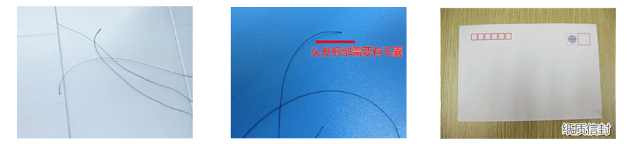 头发可以做亲子鉴定