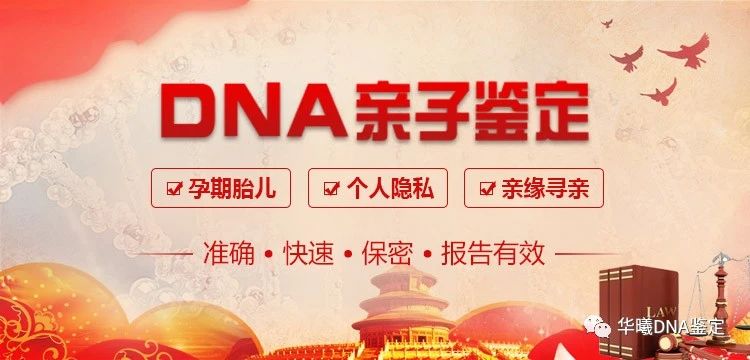 dna亲子鉴定