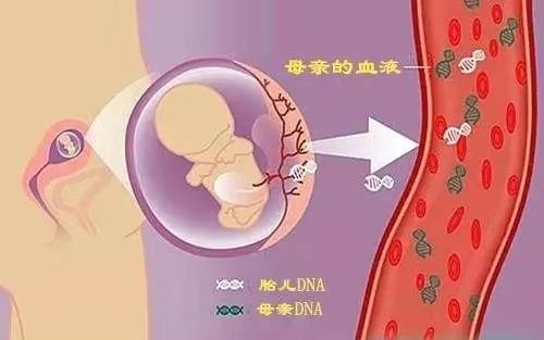 怀孕亲子鉴定