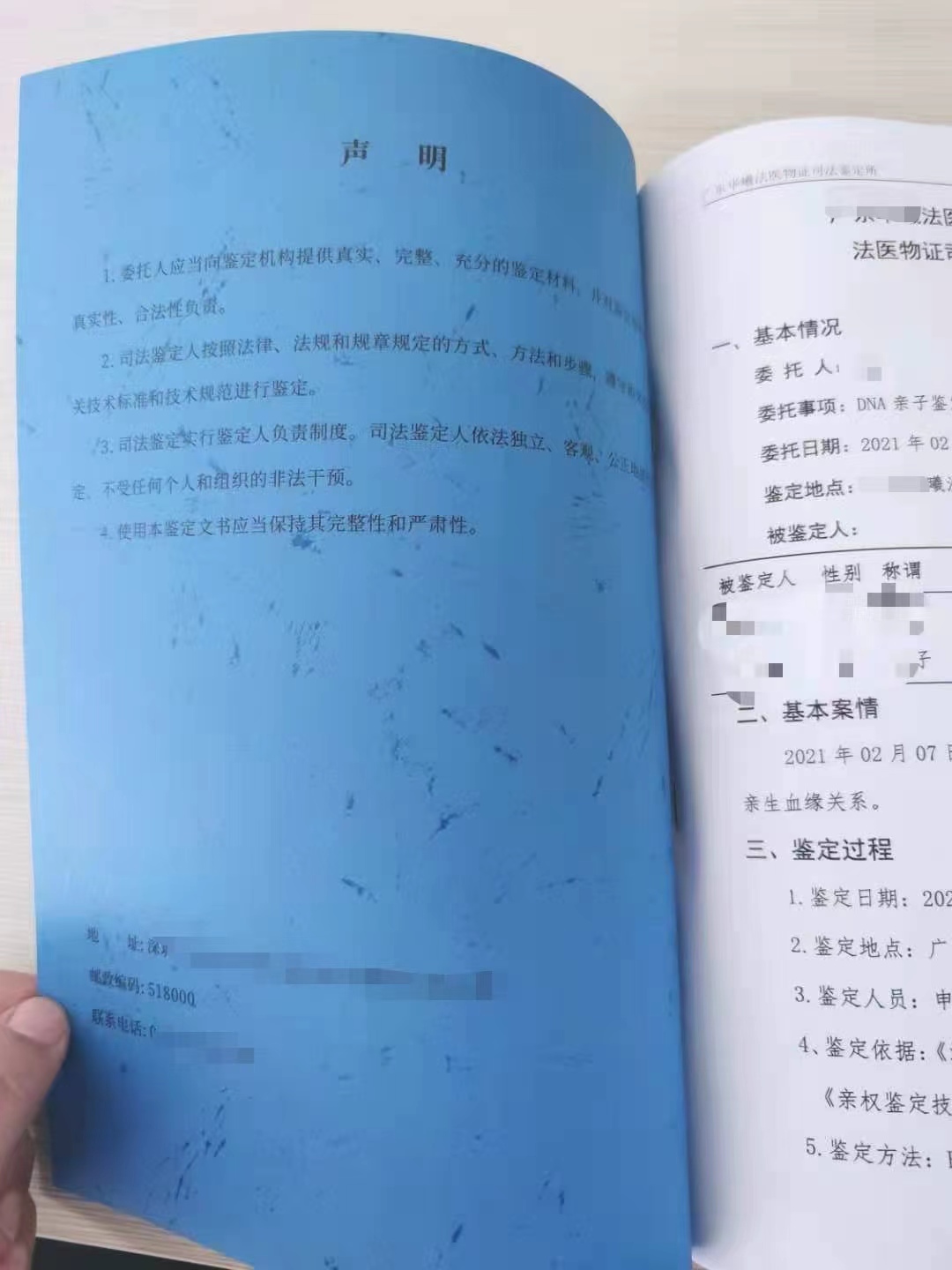 亲子鉴定报告