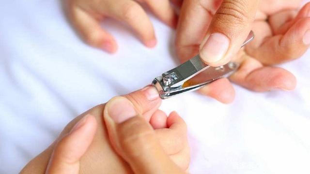 怎么做亲子鉴定