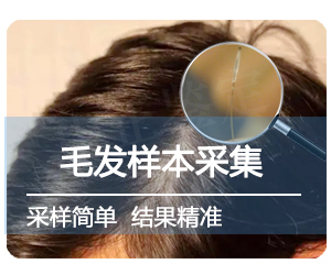 亲子鉴定头发