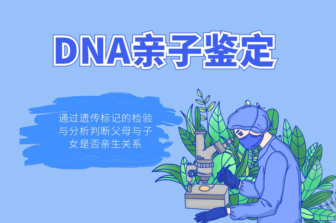 DNA亲子鉴定