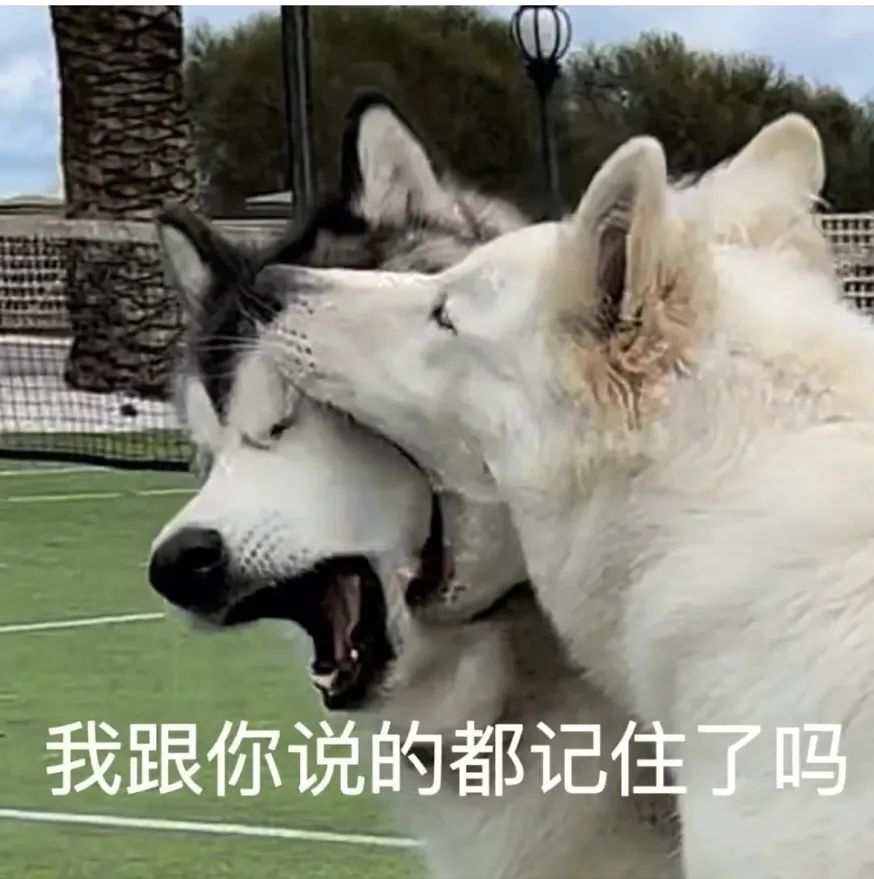 亲子鉴定能不能吃