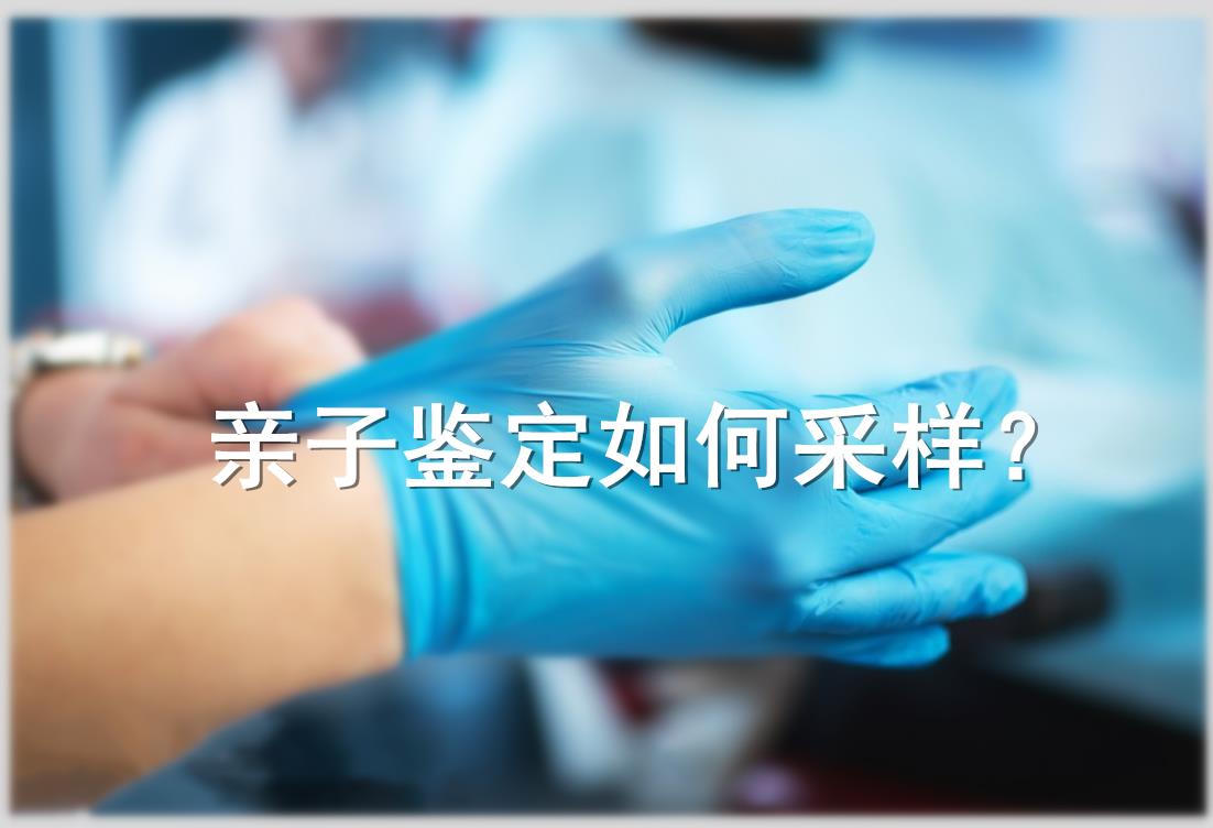 亲子鉴定怎么取样本