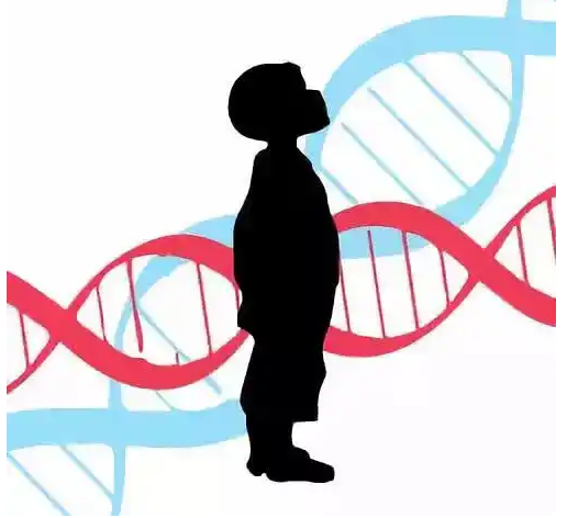 兄弟姐妹可以做亲子鉴定吗