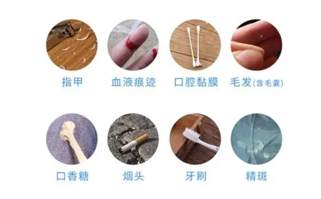 哪些东西能做亲子鉴定