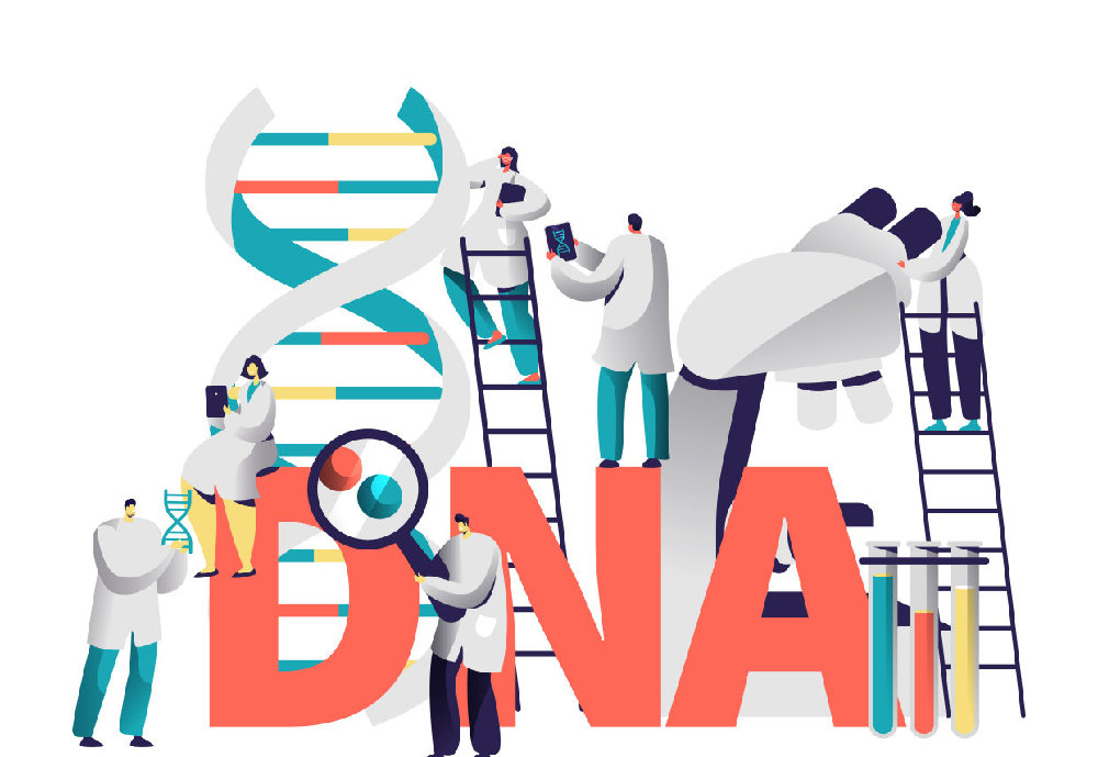 亲子鉴定怎么做