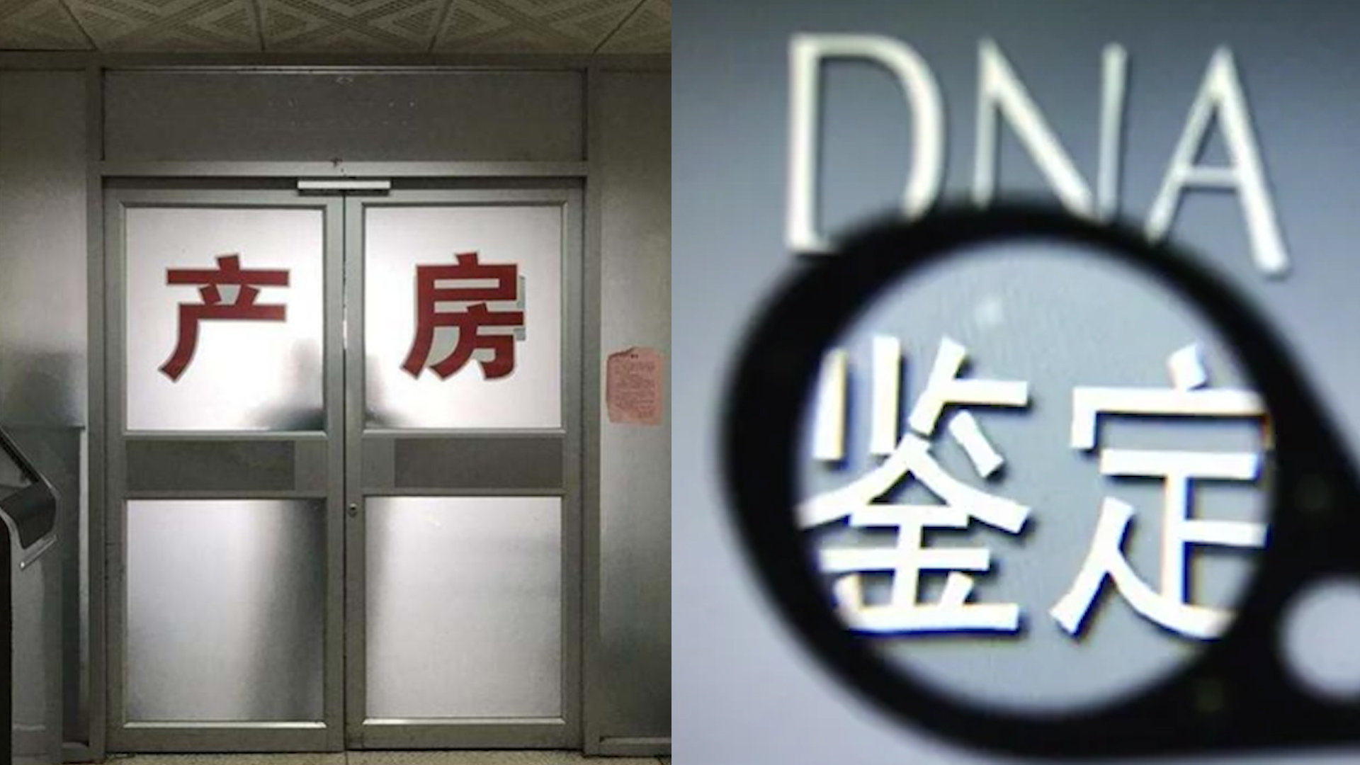 上门做亲子鉴定