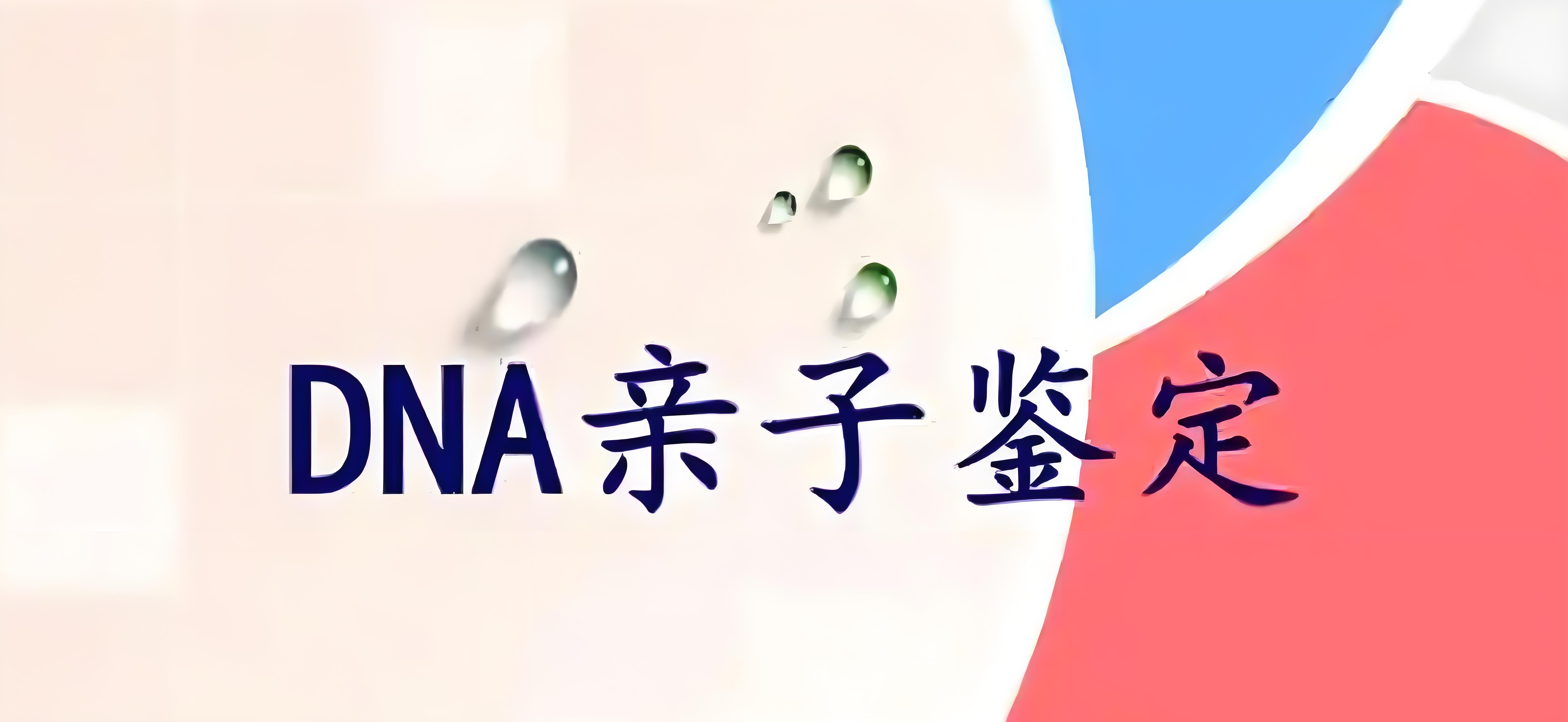 亲子鉴定在哪里做