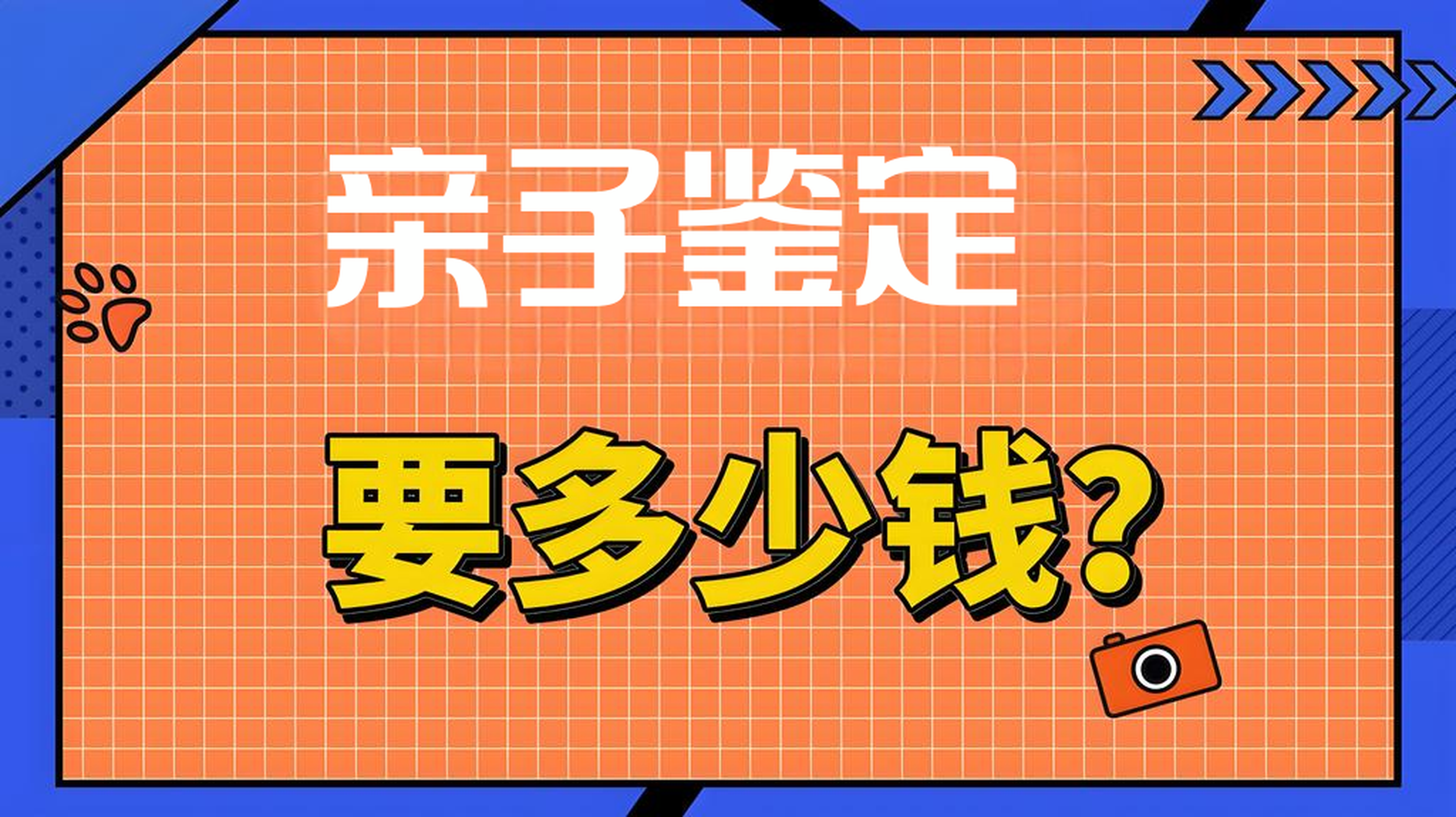 亲子鉴定多少钱