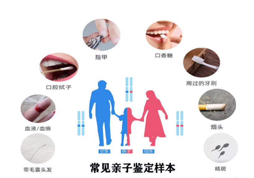 亲子鉴定需要什么样本