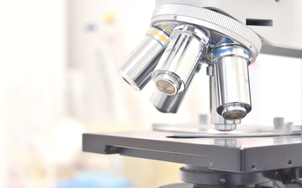 亲子鉴定在哪做