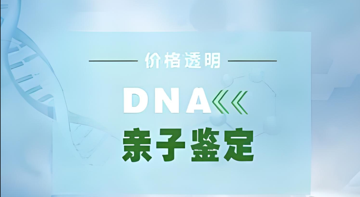 几百块的亲子鉴定