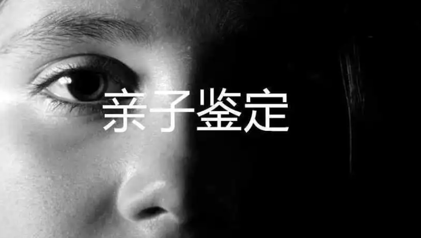 亲子鉴定
